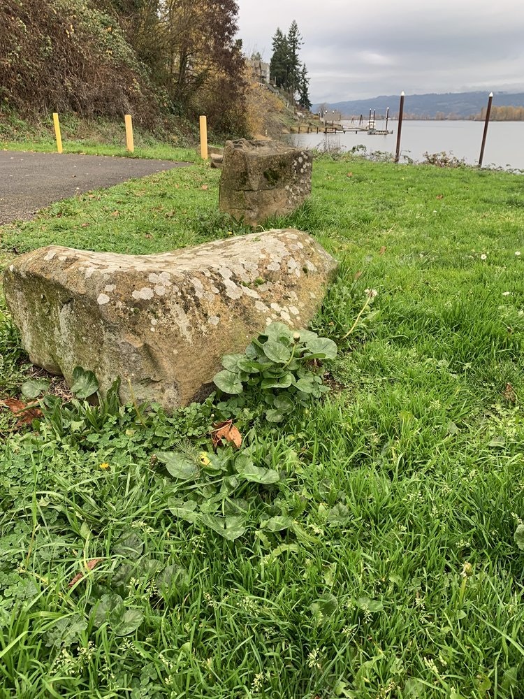 May contain: grass, plant, rock, nature, outdoors, scenery, vegetation, tree, gravestone, and tomb