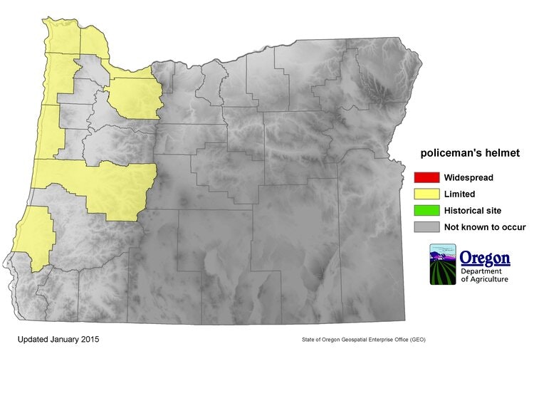 The image is a map of Oregon showing areas related to the "policeman's helmet" plant, with color codes indicating its distribution.