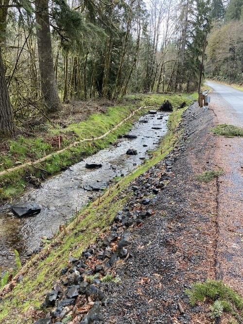 May contain: outdoors, nature, plant, vegetation, water, creek, stream, land, tree, woodland, road, and path