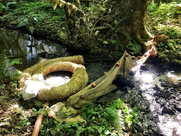 May contain: moss, plant, land, nature, outdoors, rainforest, tree, vegetation, jungle, pond, water, woodland, green, rock, wilderness, and grove