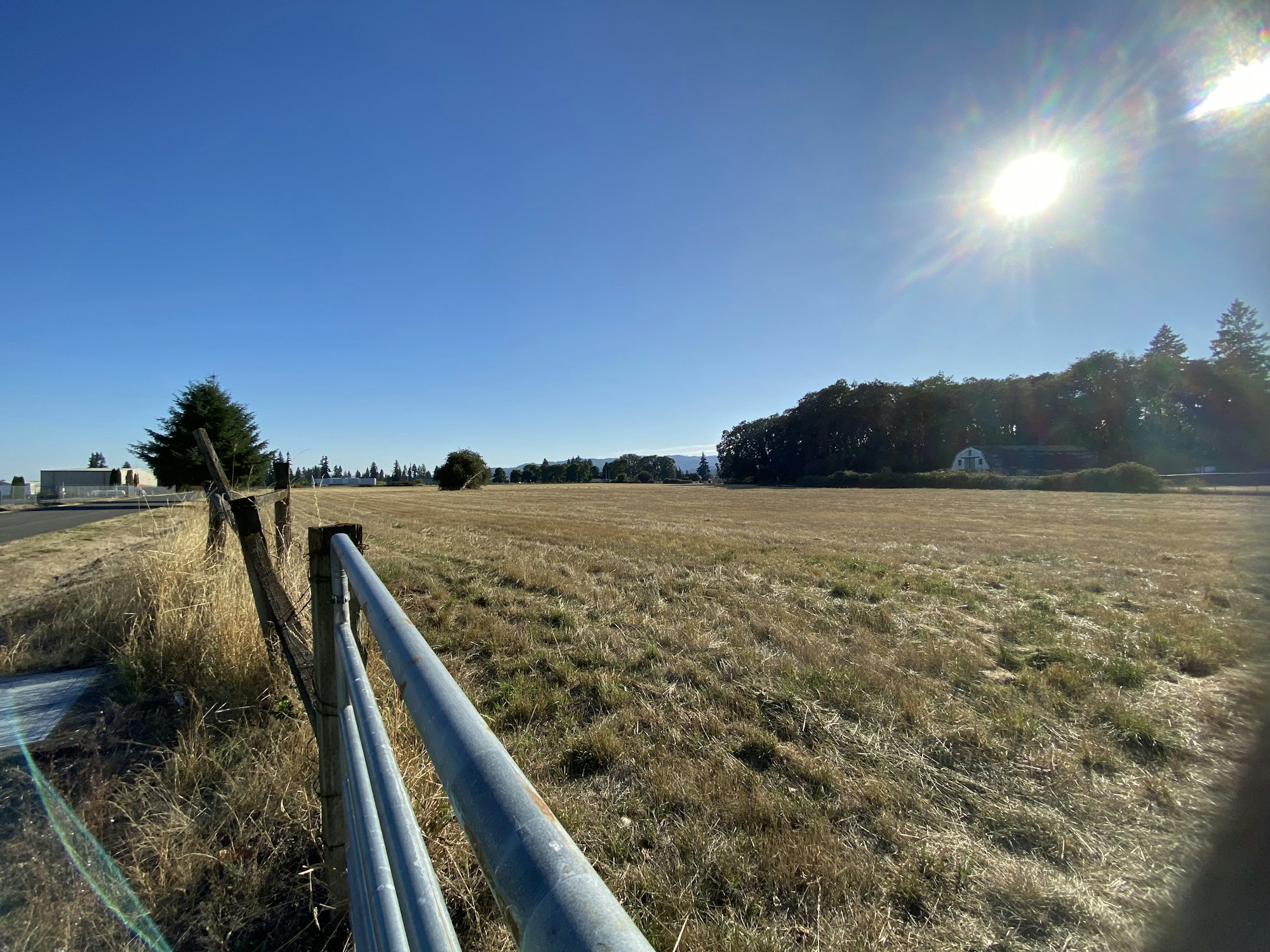 A sunny rural landscape with a grassy field, a metal fence, trees, and a house in the background under a clear blue sky.