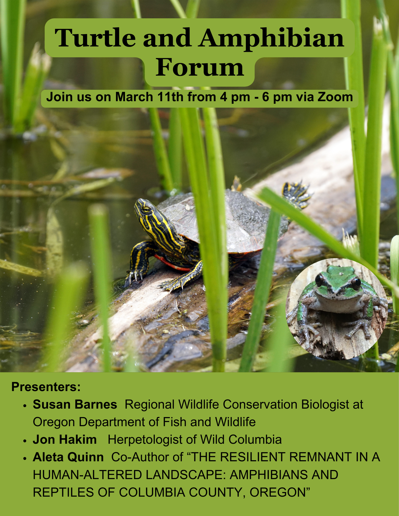 Announcement for a Turtle and Amphibian Forum on March 11th, featuring presentations by experts in wildlife conservation and herpetology.