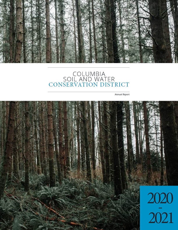 May contain: plant, vegetation, land, nature, outdoors, tree, woodland, grove, and rainforest