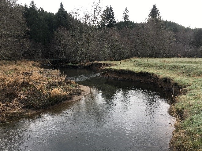 A tranquil river bends through a grassy area with trees in the background.