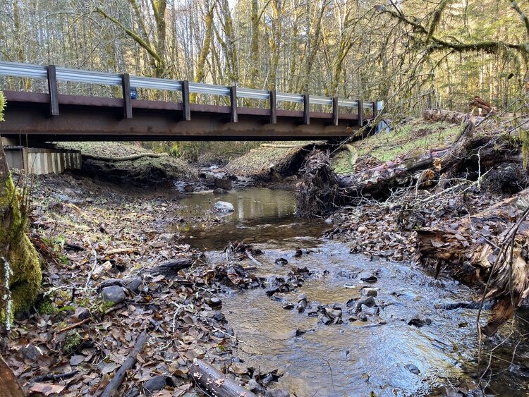May contain: creek, nature, outdoors, stream, water, plant, vegetation, and land
