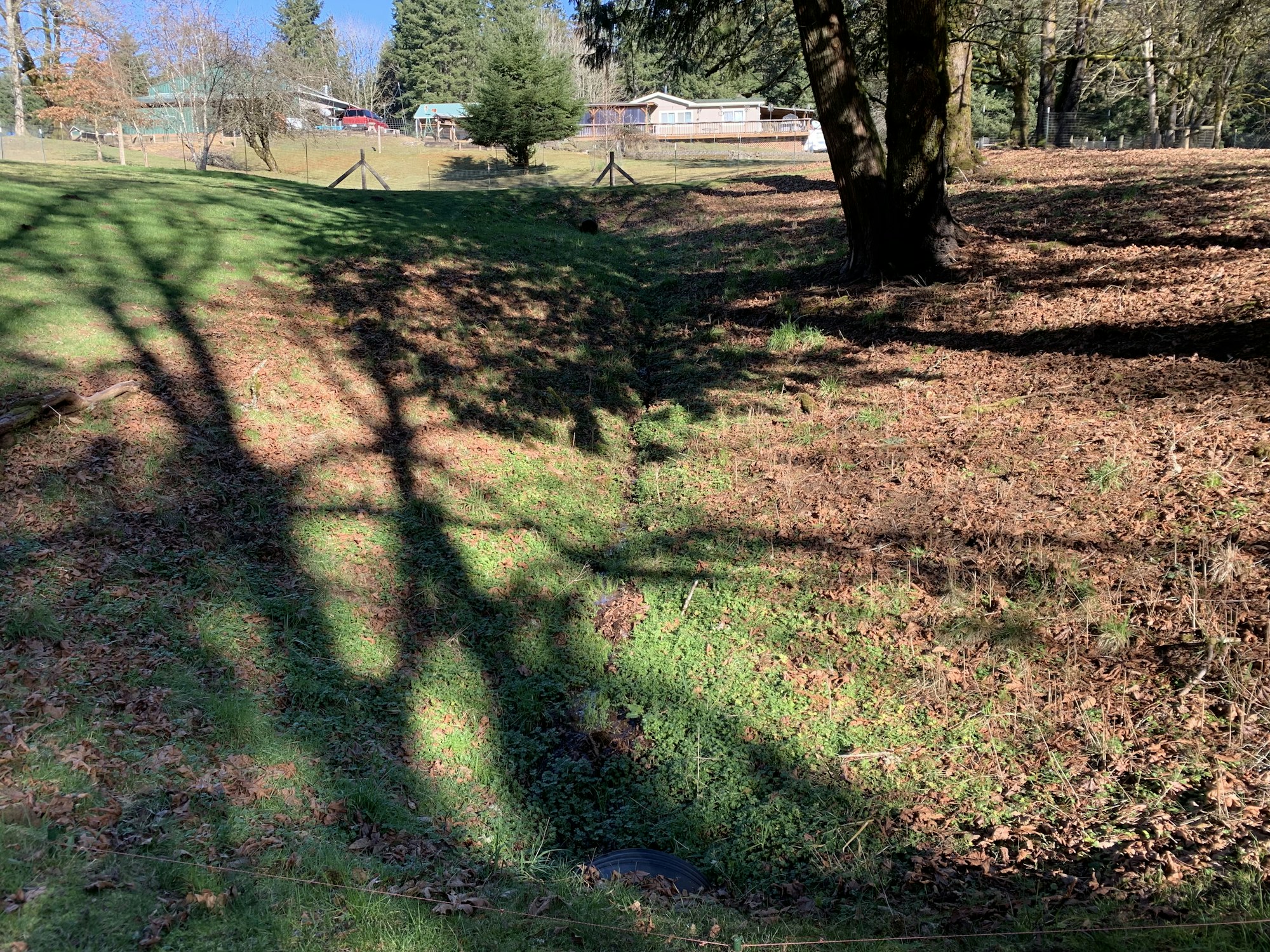 A grassy field with trees and shadows, a ditch in the center, houses and fences in the background.