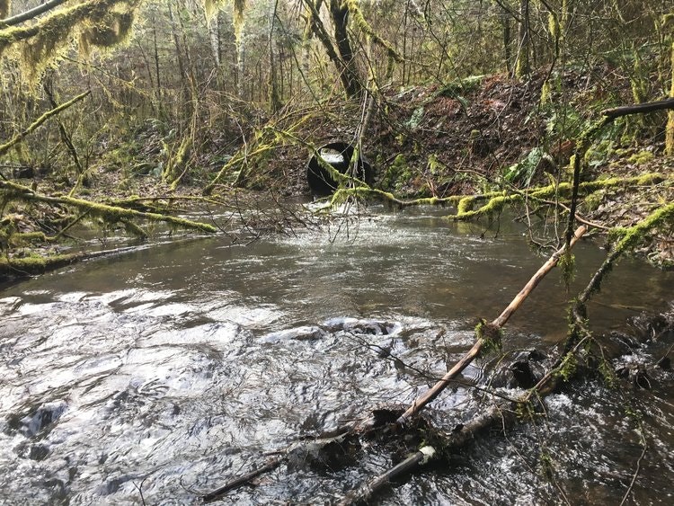 May contain: nature, outdoors, water, creek, stream, land, plant, and vegetation