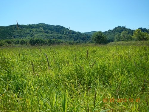 May contain: countryside, farm, field, nature, outdoors, pasture, rural, grassland, plant, vegetation, grass, and land