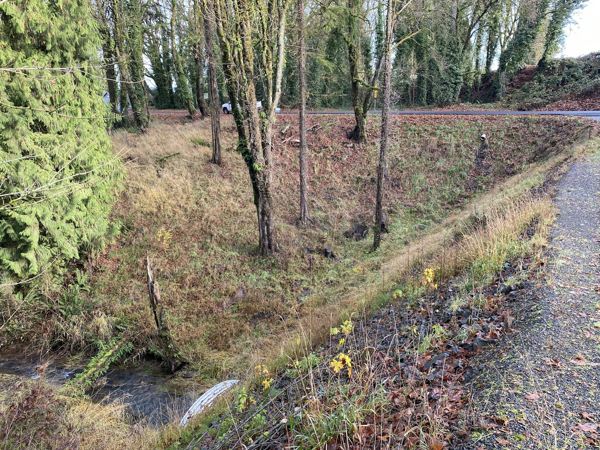 A wooded area with a small stream, a gravel path, and a road with safety barriers.