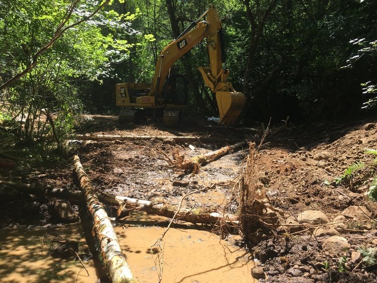 May contain: soil, plant, vegetation, tree, jungle, nature, outdoors, land, rainforest, bulldozer, machine, and woodland