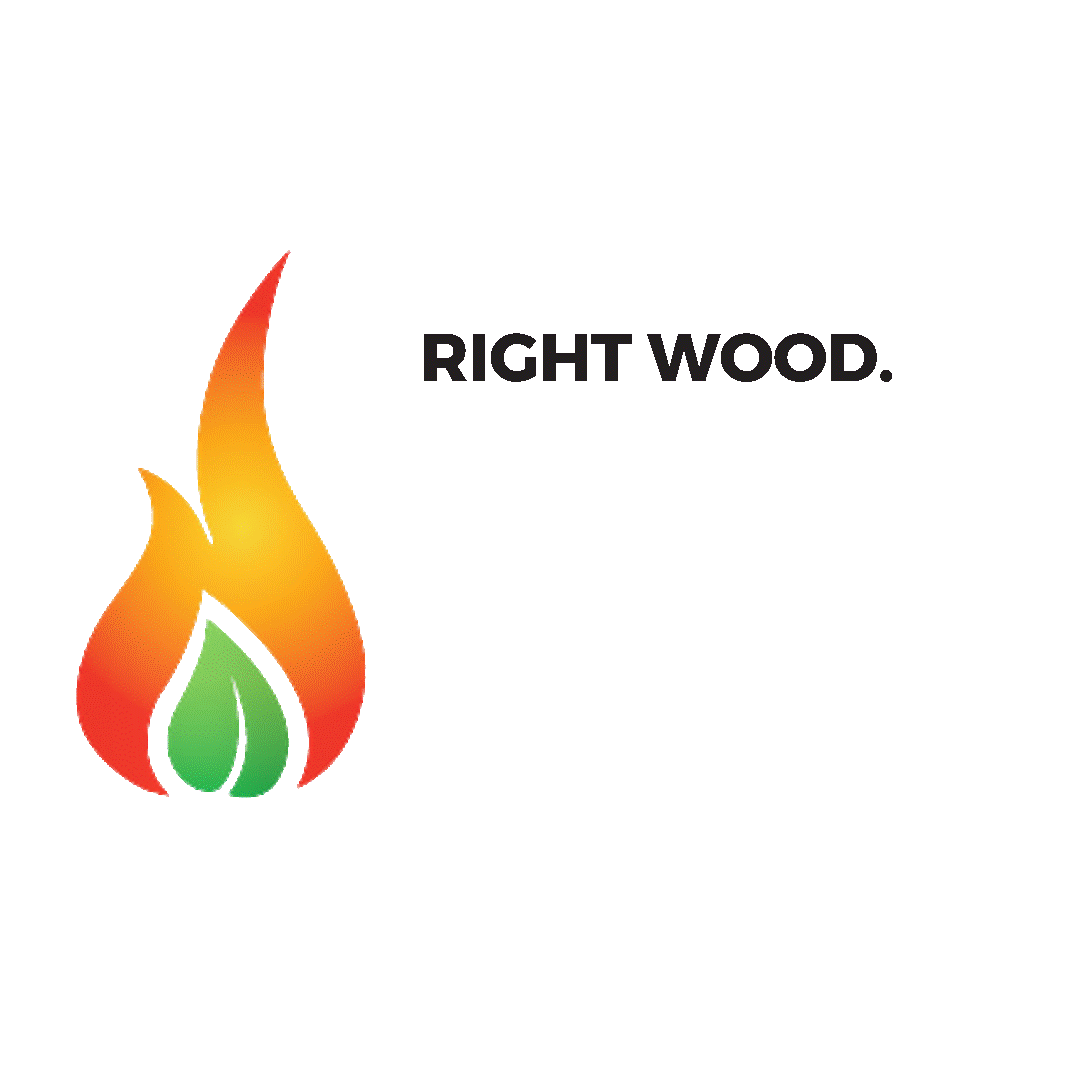Image of flame and text - Burn Wise: right wood, right appliance, right way!