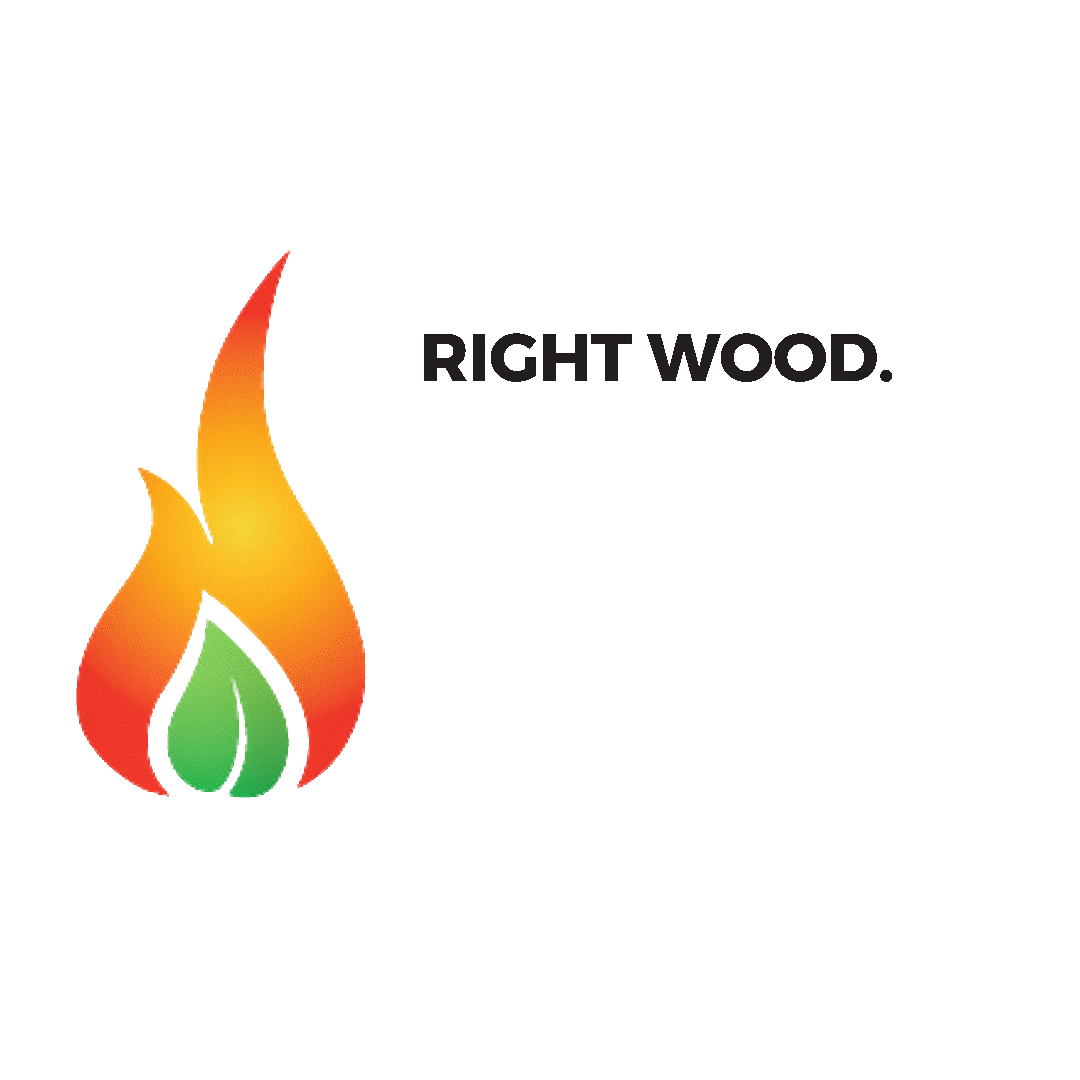 Image of flame and text - Burn Wise:  right wood, right appliance, right way!