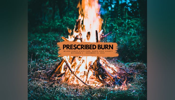 May contain: flame, fire, and bonfire