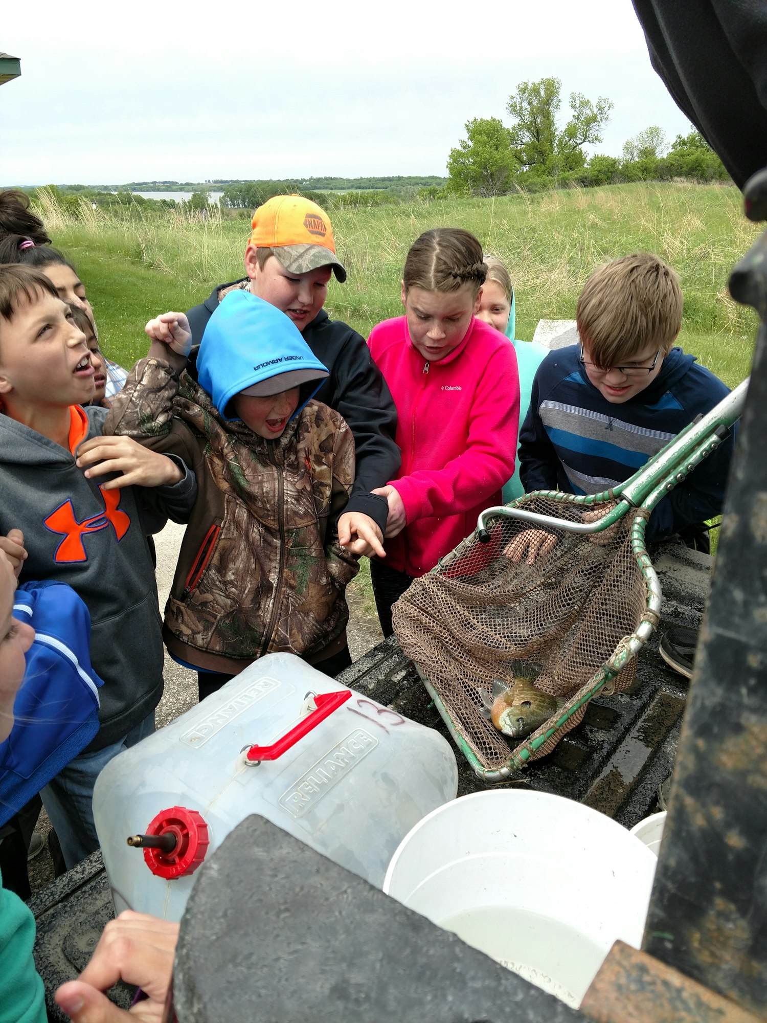 A group of kids excitedly observe a fish in a net outdoors near a field.