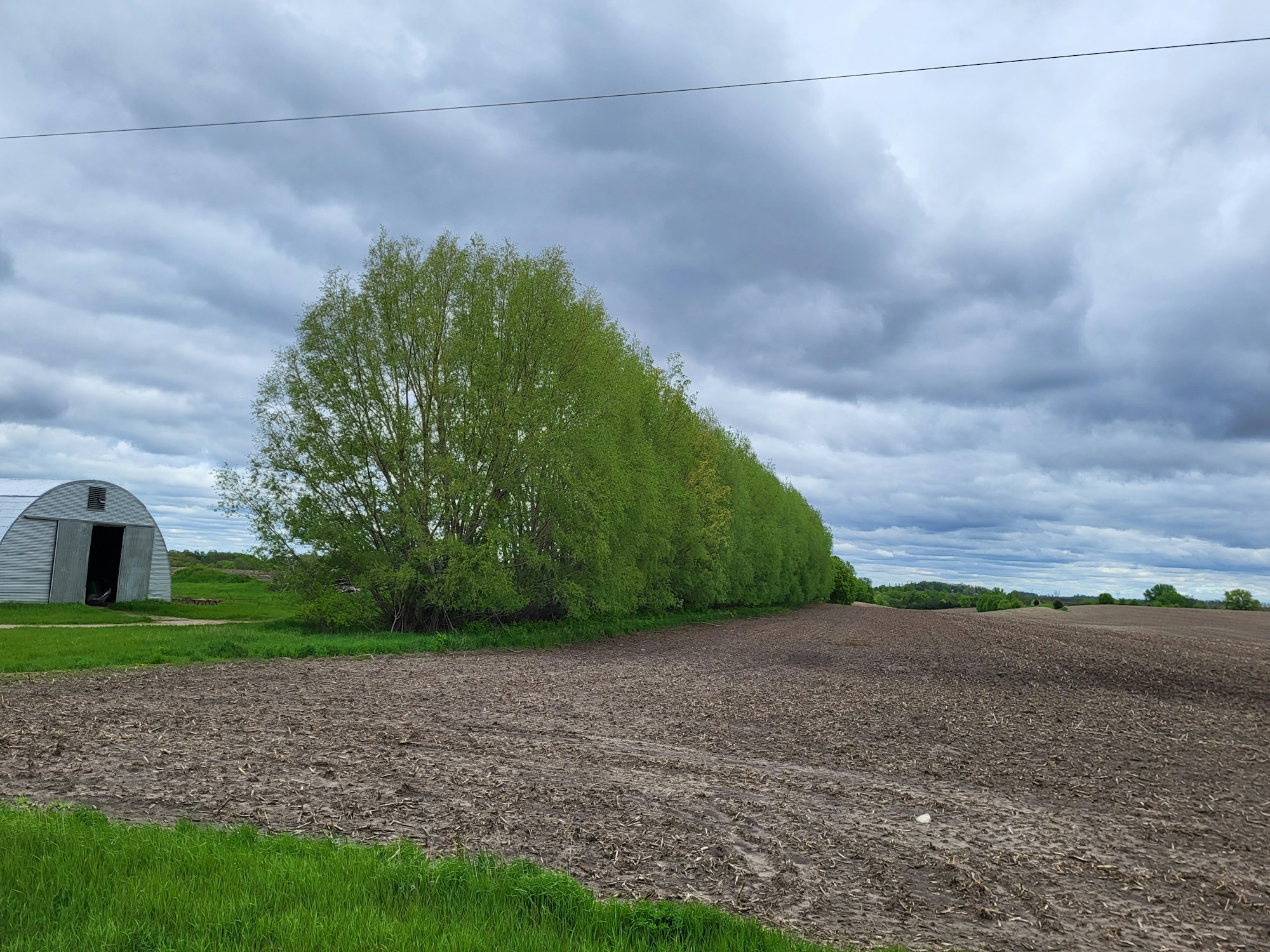 Rural landscape with a Quonset hut, trees, plowed field, and cloudy sky.