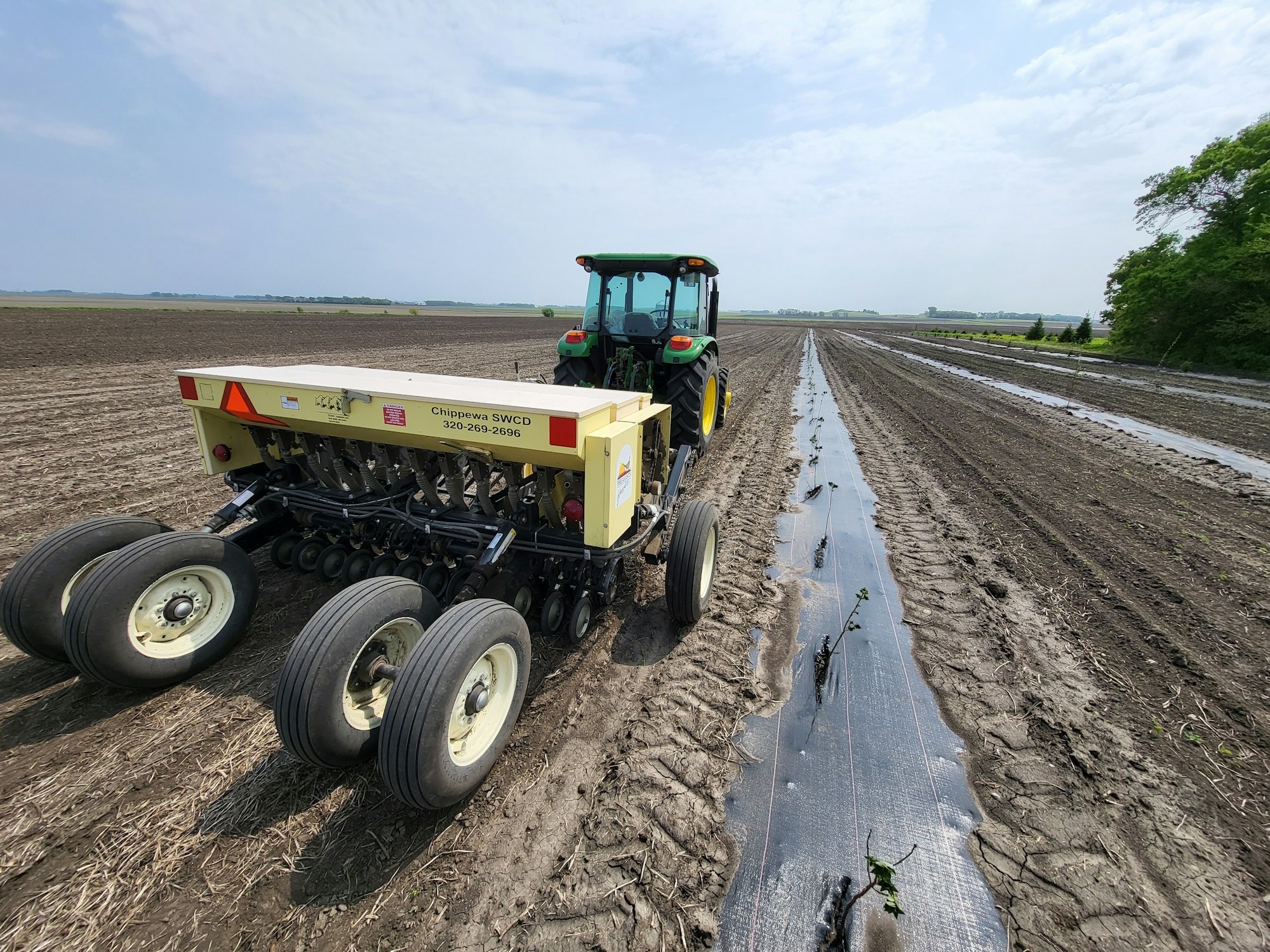 A tractor with seeding equipment on muddy farmland, laying down plastic mulch.