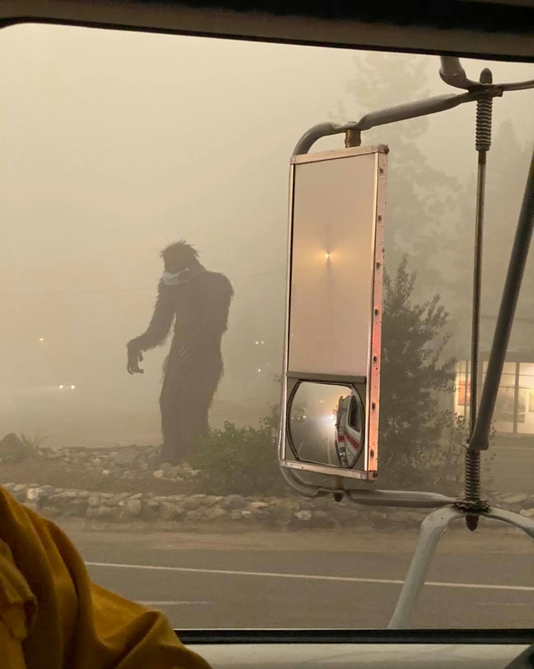 May contain: nature, person, human, fog, weather, outdoors, and smoke