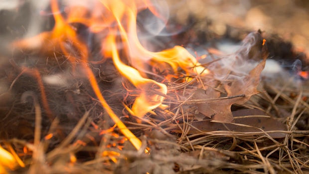 May contain: fire, bonfire, and flame
