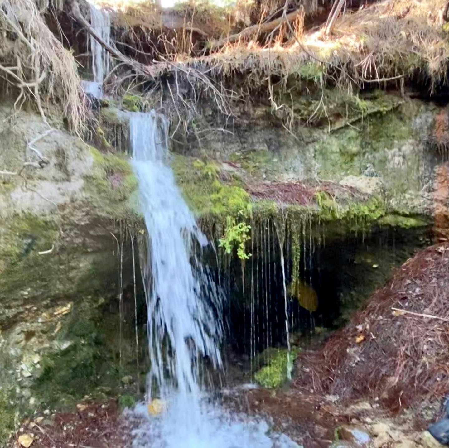 May contain: water, nature, outdoors, river, waterfall, vegetation, and plant