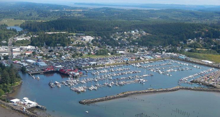 Aerial view of a marina with numerous docked boats, surrounded by a coastal town and lush green forests in the background.