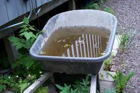 standing water in wheel barrow