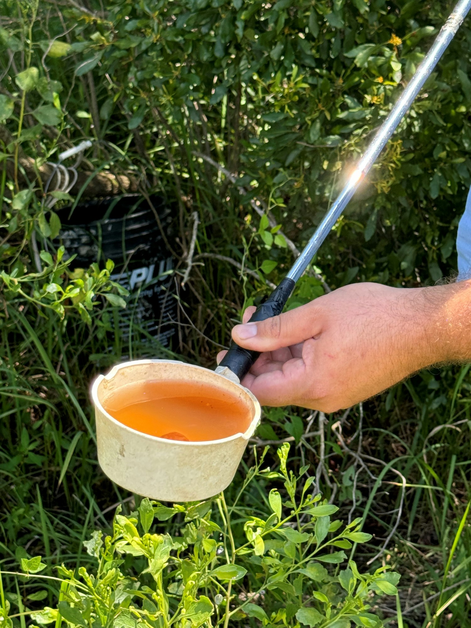 A person holds a golf hole cutter with a cup filled with orange liquid, likely on a golf course.