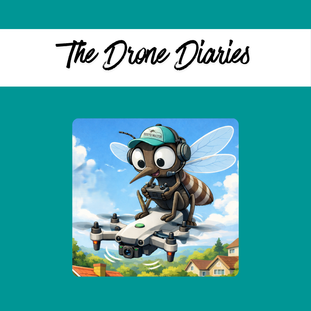 An animated bee wearing a cap and headphones is piloting a drone, with a colorful landscape in the background.
