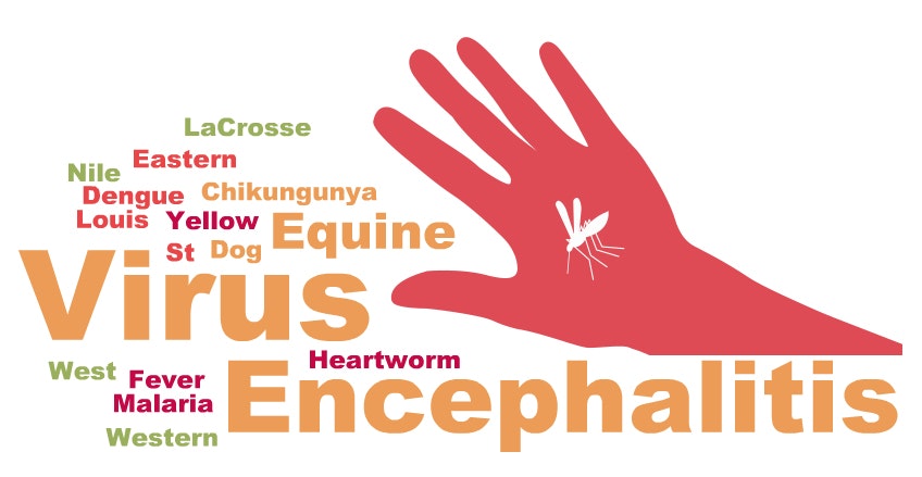 The image features a hand silhouette with various words related to viruses, encephalitis, and mosquito-transmitted diseases.