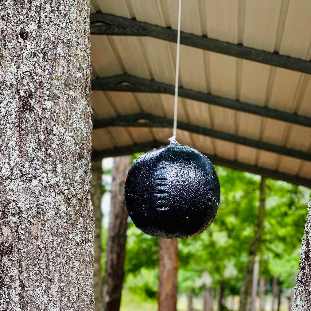 yellow fly sticky ball trap