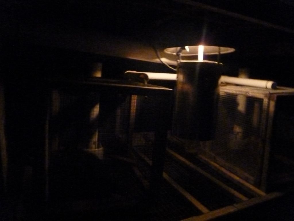 night image of a mosquito trap