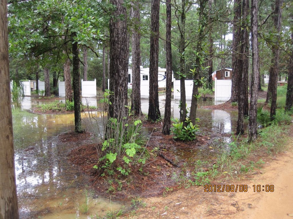 standing water, trees, buildings in the background