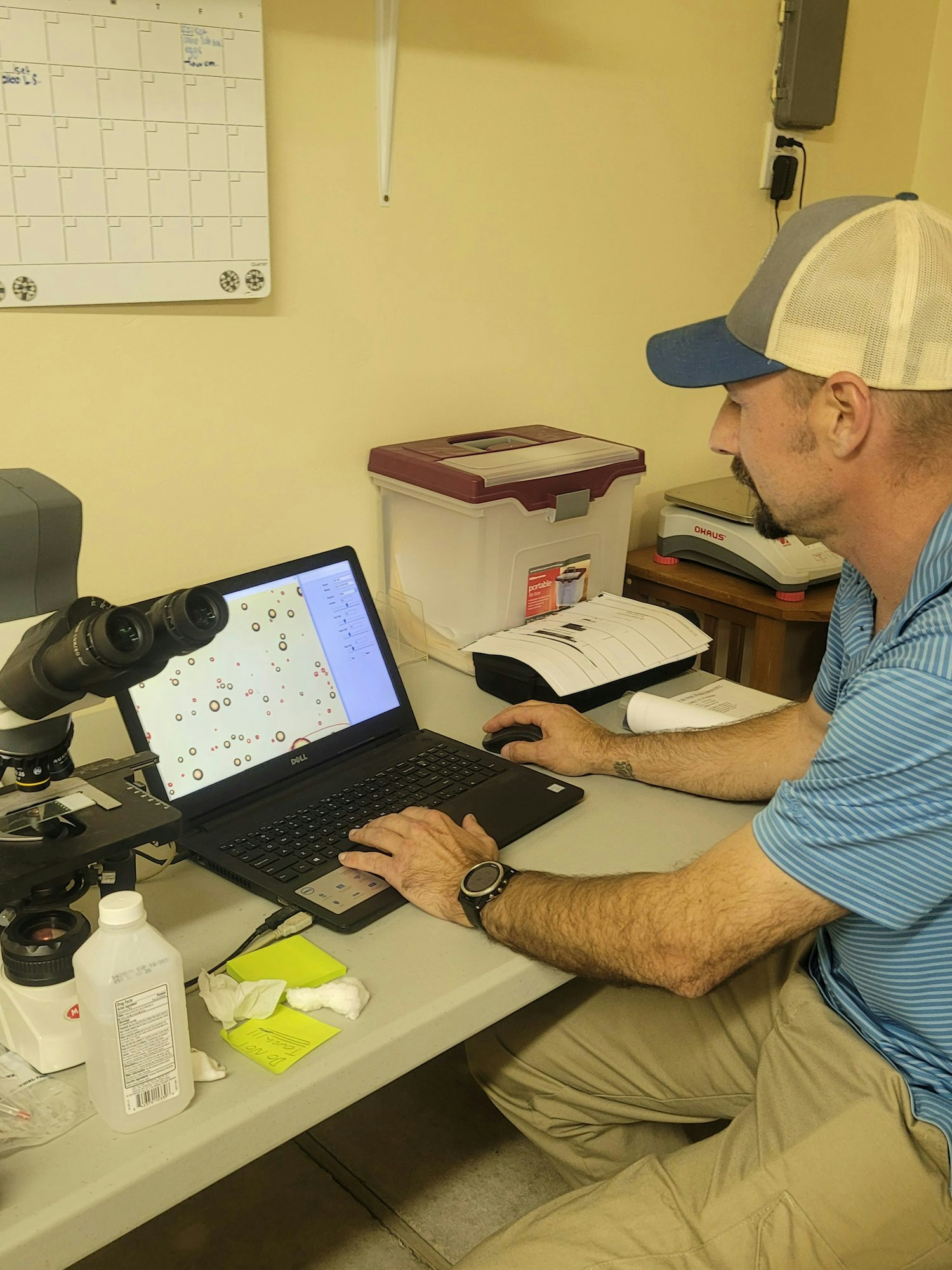 A person analyzes data on a laptop next to a microscope, surrounded by various office supplies and a calendar on the wall.