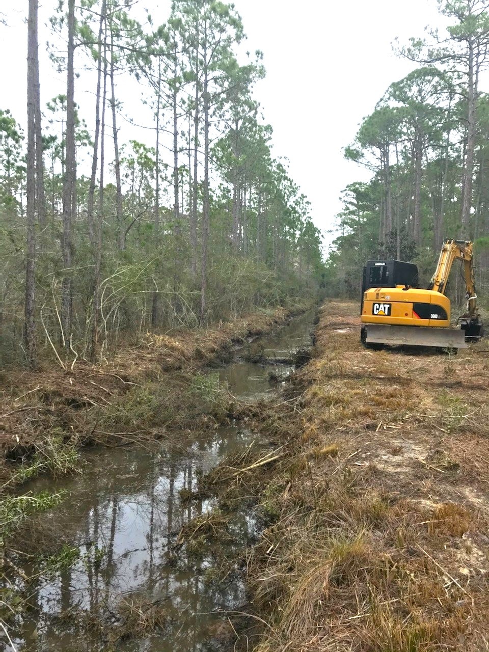 A clearing in a forest with a machine near a muddy creek, surrounded by tall trees and underbrush being cleared.