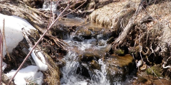 Abrams Creek, water, sticks