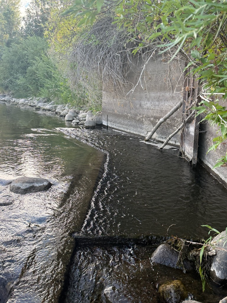 A flowing river with rocks, a concrete wall, and vegetation along the bank.