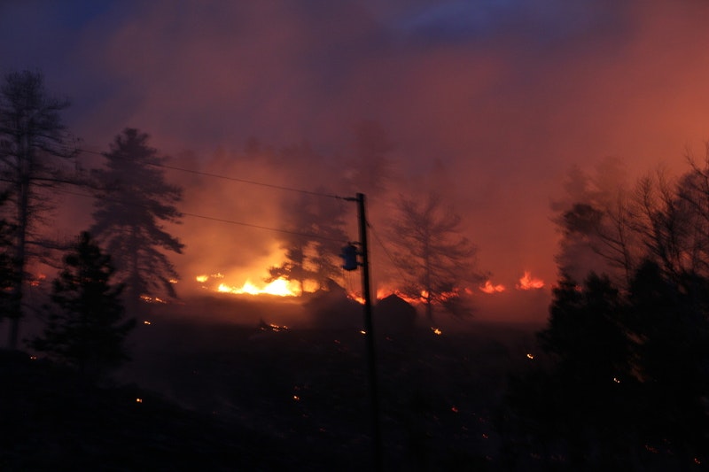 May contain: fire and forest fire