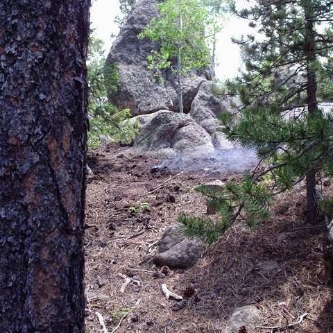 May contain: nature, outdoors, wilderness, soil, grove, land, plant, tree, vegetation, woodland, rock, rainforest, and conifer