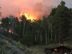 May contain: fire and forest fire