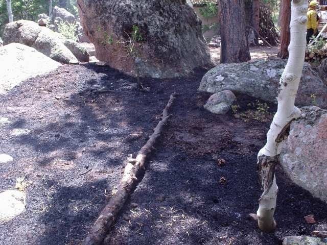 May contain: soil, plant, tree, vegetation, grove, land, nature, outdoors, woodland, rock, wilderness, helmet, person, rainforest, path, mortar shell, and weapon