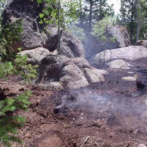 May contain: soil, nature, outdoors, wilderness, plant, vegetation, rock, grove, land, tree, woodland, and rainforest