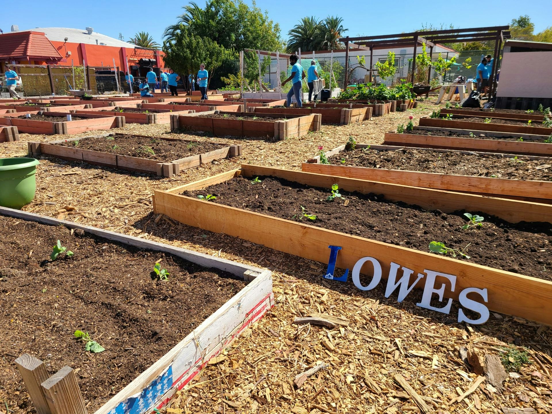 May contain: person, human, soil, and wood