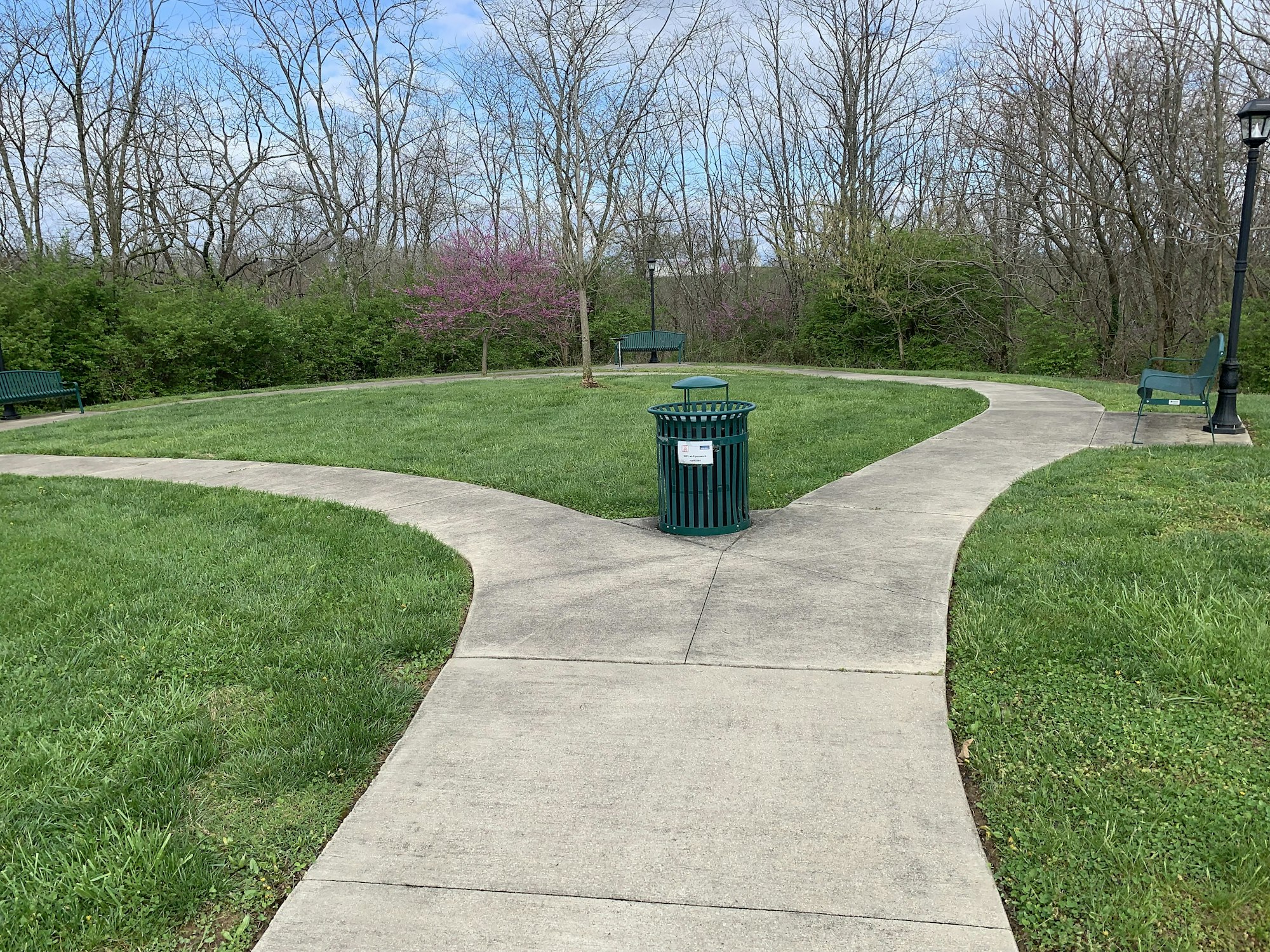 A park scene with a concrete path, green grass, benches, a trash can, bare trees, and some pink blossoms in the background.