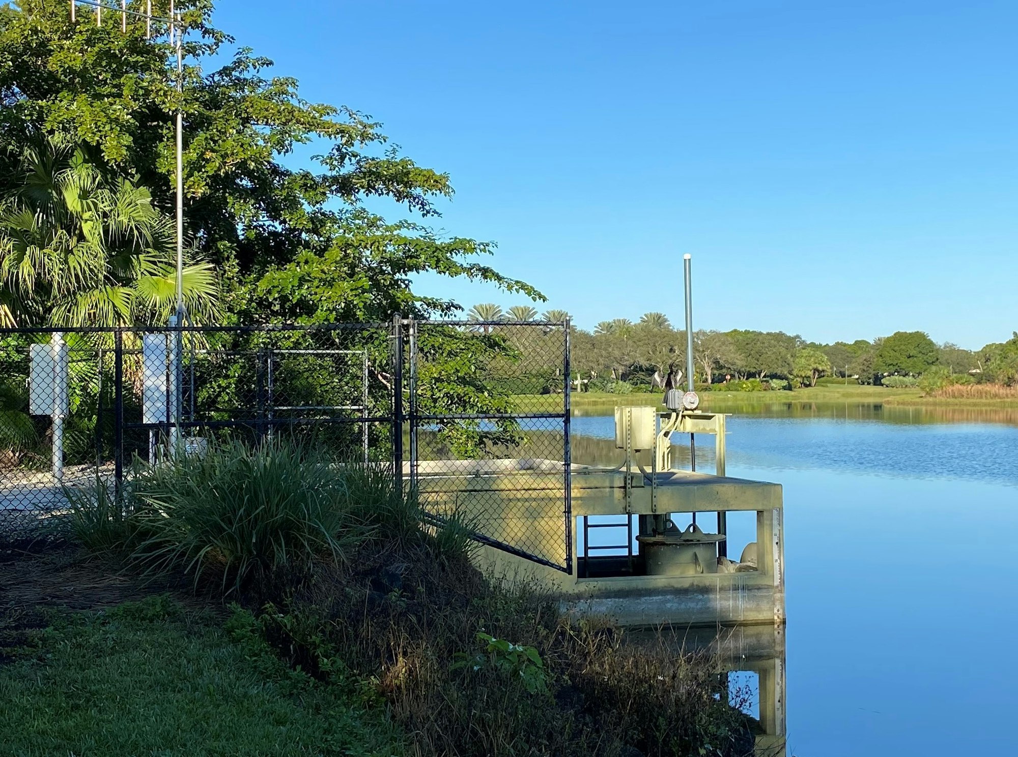 A serene pond with vegetation, a fence, and a water control structure under a clear blue sky.