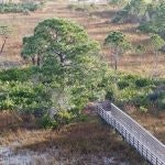A wooden boardwalk meanders through grassy terrain with scattered trees under a cloudy sky.
