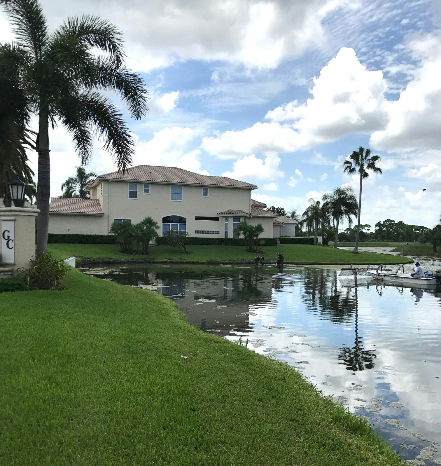 A palm tree, a two-story house, green lawn, and a pond with a reflection of the sky.