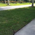 A sidewalk next to a grassy area with trees and a street in the background.
