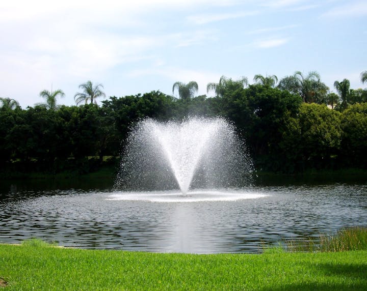 A fountain in a pond surrounded by green grass and trees under a clear sky.