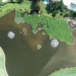 Aerial view of a heart-shaped pond surrounded by greenery.