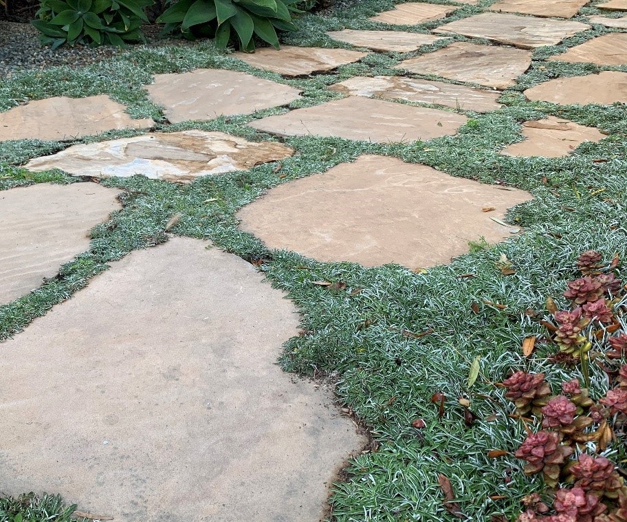 Stone pathway surrounded by grass and plants.
