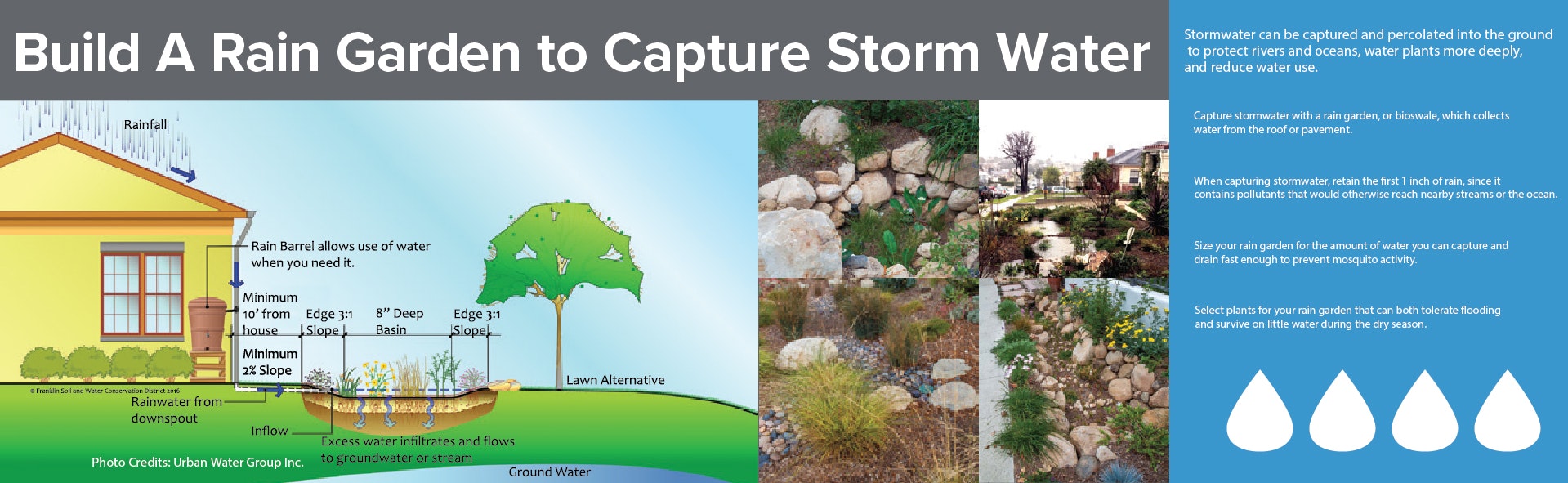 Diagram and info on building a rain garden to capture stormwater, detailing slope, depth, and plant selection.